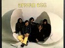 ORPHAN EGG Self-Titled 1968 FIRST PRESSING LP VG++/VG++ Garage Psych Fuzz RARE