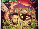 Jungle Brothers