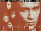 Dan Reed Network The Heat vinyl LP album record UK 848855-1 MERCURY 1991