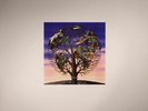 TALK TALK - Laughing Stock - Vinyl (LP)