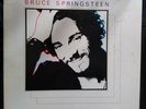 Bruce springsteen vinyl box set