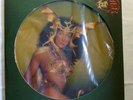 Cher, Take me Home als seltene Picture Disc