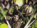 JUNGLE BROTHERS - Straight Out The Jungle (reissue) - Vinyl (180 gram vinyl LP)