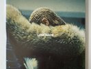 Beyoncé Lemonade Vinyl (Yellow 180 Gram Gatefold Cover)