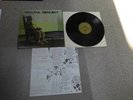 Punk-Rock-LP The Willful Neglect 