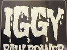 Iggy and The Stooges Raw Power Sundazed sealed  LP Free Shipping