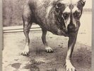Alice In Chains ? 
