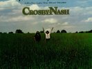 David Crosby & Graham Nash The Best Of David Cros... vinyl LP  record UK