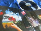 PINK FLOYD ?? THE FINAL CUT ?? AUGENSCHEINLICH UNGESPIELT MINT 1st PRESS FOLDOUT