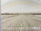Vincent Gallo When Folk World& Country Labels : Warp Records WARP LP 87 Unplayed