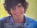 Tim Buckley ?/ Goodbye And Hello UK 1976 Reissue  excellent lp vinyl