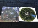 1000 GECS AND THE TREE OF CLUES Vinyl LP NEW GHOSTLY GREEN LIMITED 3000 Pressed