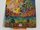 The Incredible String Band - The 5000 Spirits - (VG/VG) - UK Vinyl Original F...