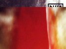 The Fragile [3 LP] [Vinyl] Nine Inch Nails