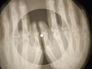 Elvis Presley - Stuck On You X-RAY USSR BONE RECORDING