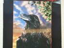 The Stranglers The Raven Vinyl LP 3D Sleeve UK First Pressing 1979 Very Rare  79