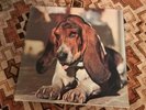 Duffy ?– Just In Case You're Interested 1971 ORIGINAL RARE PROG ROCK ARIOLA