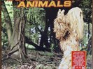 Super Furry Animals - The Man Dont Give A F**k (Live) - 12” Etched Vinyl