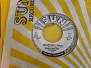 Randy And The Radiants Mountain's High 45 Record Sun Label #395 thinking of you