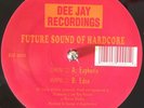 Future Sound Of Hardcore Vol 1 - Euphoria - Eden -Hardcore/Jungle 12” Vinyl 1993