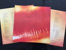 The Cure: Kiss Me Kiss Me Kiss Me: A1/B1/C1/D1 Double Album LP Free UK Post