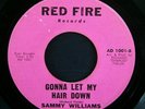 SAMMY WILLIAMS NOBODY LOVES ME / GONNA LET MY HAIR DOWN RED FIRE 1001 7