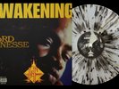 Lord Finesse - The Awakening Exclusive VMP Club Black Gold Splatter Vinyl LP
