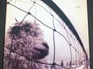 Pearl Jam - Vs. LP  Epic Records Z 53136 - Original 1993 US Pressing