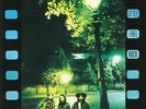 LITTLE FREE ROCK - Little Free Rock - Vinyl (LP + insert)