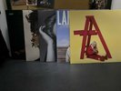 Vinyl Record Set  (Shawn Mendes + Adele + Lana Del Rey + Lizzo +Billie Eillish)