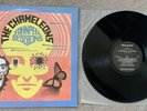 The Chameleons Peel Sessions 12” LP Strange Fruit Records SFRLP 114 Rare Uk EX
