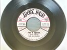 The Belvederes - He's A Square     -NM-  Rockabilly 45rpm