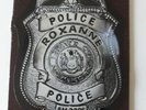 The Police Shaped Roxanne Picture Disc
