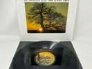 The Mountain Goats - The Sunset Tree vinyl record used ***free shipping***
