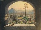 ID34z - New Riders Of The Purple Sage - Brujo - SBP-234606