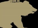 This Will Destroy You - Young Mountain Vinyl LP Dark Operative / Cargo NEW