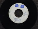 northern soul THE DEL RAYS Fortune Teller R AND H 1005