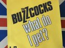 BUZZCOCKS FIRST UA DEMO YELLOW VINYL WHAT DO I GET? FRENCH VERSION punk
