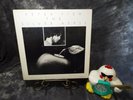 Peter Fish The Silver Apple Jazz Private Press soul jazz LP VINYL ALBUM