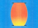 Holy Hive-Float Back To You VINYL NEW