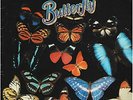 Vinyl LP - THE HOLLIES - Butterfly - 1967 Recording EMI Parlophone PCS 7177