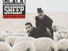 BLACK SHEEP A Wolf In Sheep's Clothing LP NEW COLORED VINYL Mercury reissue