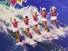 Vacation [LP] Go-Go's Vinyl Rock  Pop Discs: 1 BRAND NEW