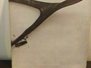 Wishbone Ash-Wishbone Ash 1st Vinyl LP MKPS2014  1ST ISSUE Pink/Red Labels