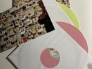 EVIDENCE Cats & Dogs 2lp Vinyl Rare OOP Record Limited Edition