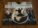 A Day to Remember What Separates Me From You and Bad Vibrations