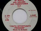 45 RPM, N. SOUL, YOUTH OPPORTUNITY PROGRAM, OF HOPES AND DREAMS AND TOMBSTONES