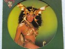 Cher Picture Disc Record LP  -  Take me Home