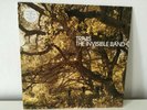 Travis - The Invisible Band [Vinyl LP] *2001 *Label: 	Independiente *Neuwertig