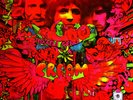 Cream ?– Disraeli Gears -Lp-1967–Polydor ?–CP 5008-Canada-Rare